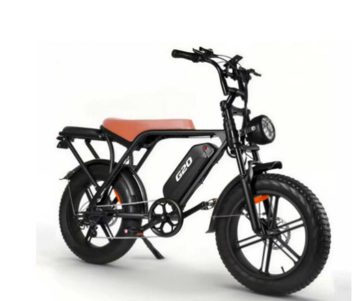 S13 utility electric bike