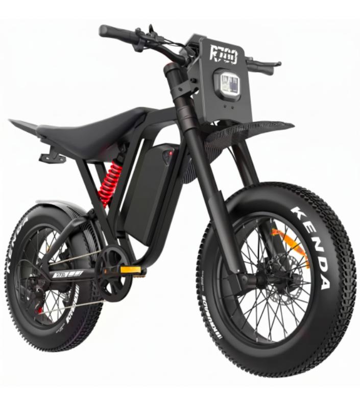 S6 electric moped