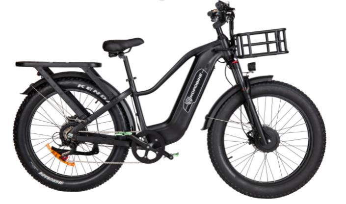 S20 dual-motor utility electric bike